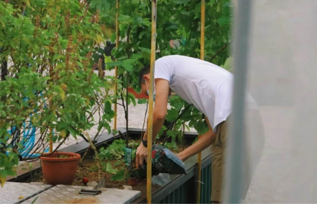 Membudidayakan Pertanian Perkotaan bagi Petani Organik Terampil