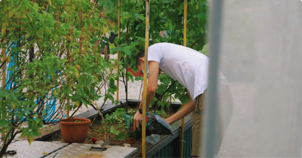 Membudidayakan Pertanian Perkotaan bagi Petani Organik Terampil
