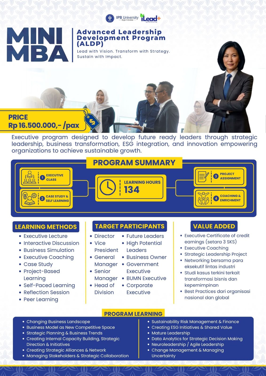 Mini MBA - ALDP